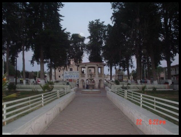 Calles y Colonias